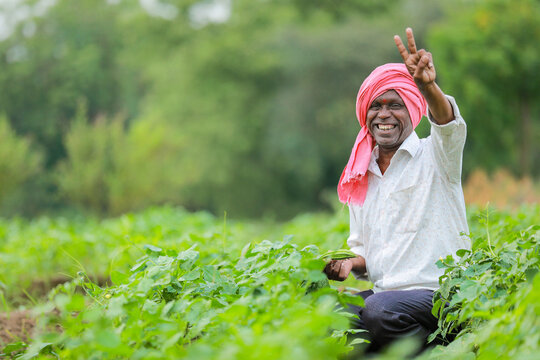 न्यू नोएडा प्रोजेक्ट में जमीन अधिग्रहण और किसानों को मिलने वाला मुआवजा